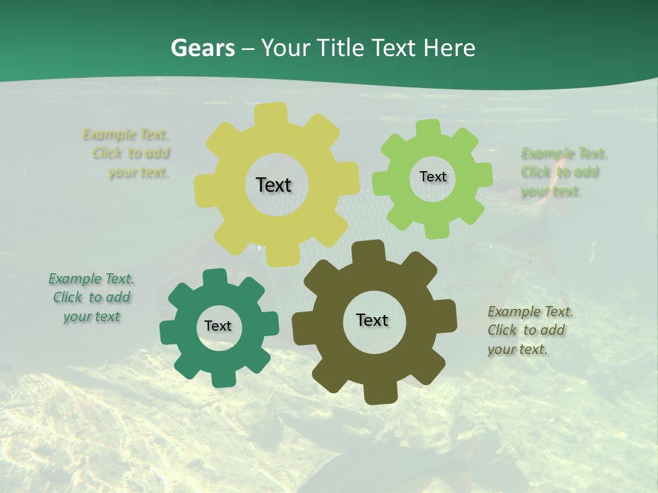 Outdoor Diving Wall Picture PowerPoint Template