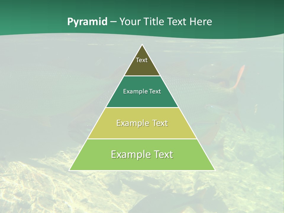 Outdoor Diving Wall Picture PowerPoint Template