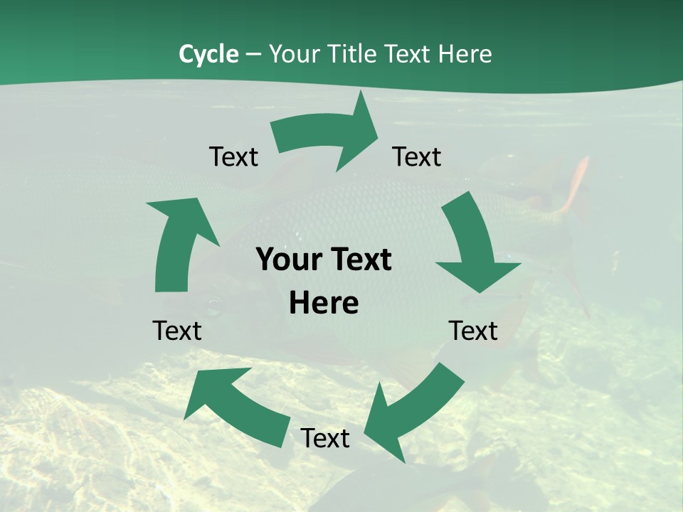 Outdoor Diving Wall Picture PowerPoint Template