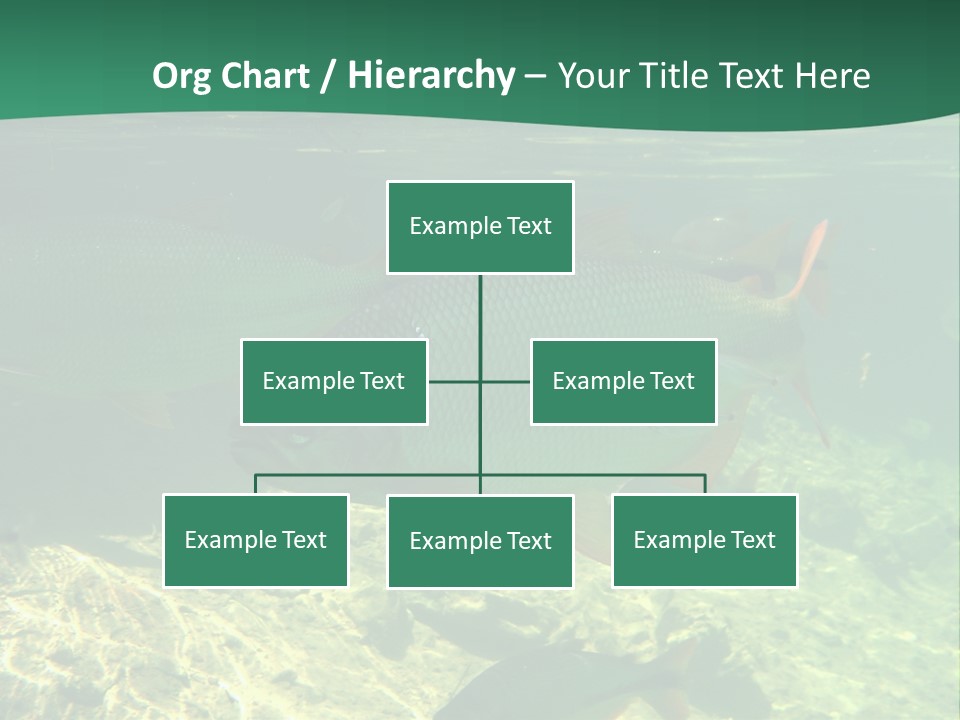 Outdoor Diving Wall Picture PowerPoint Template