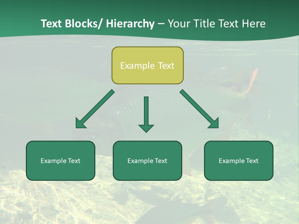 Outdoor Diving Wall Picture PowerPoint Template