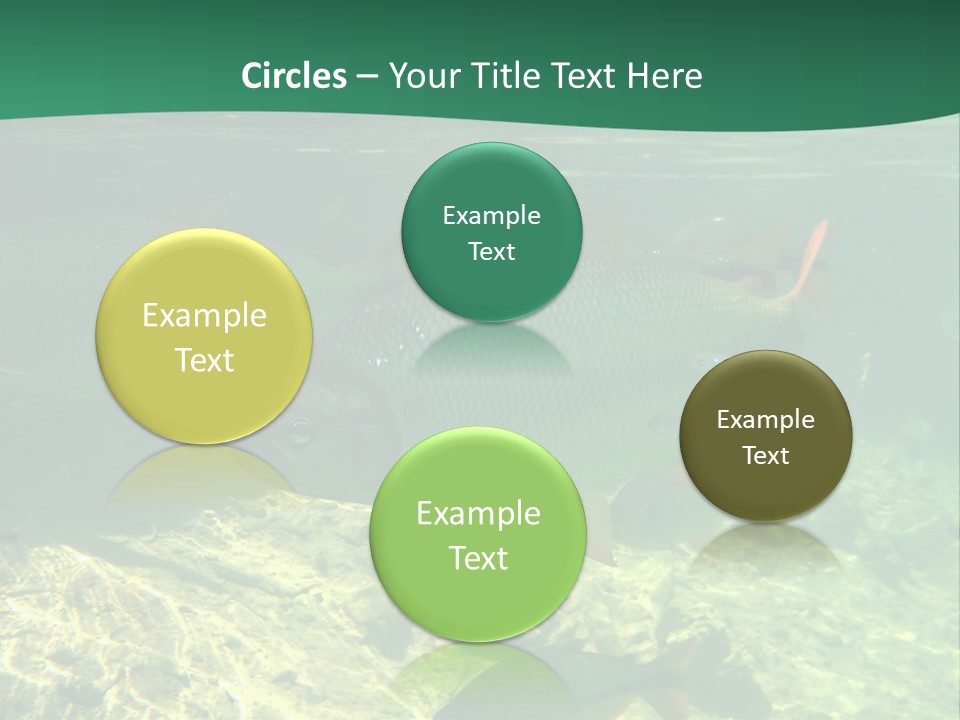 Outdoor Diving Wall Picture PowerPoint Template