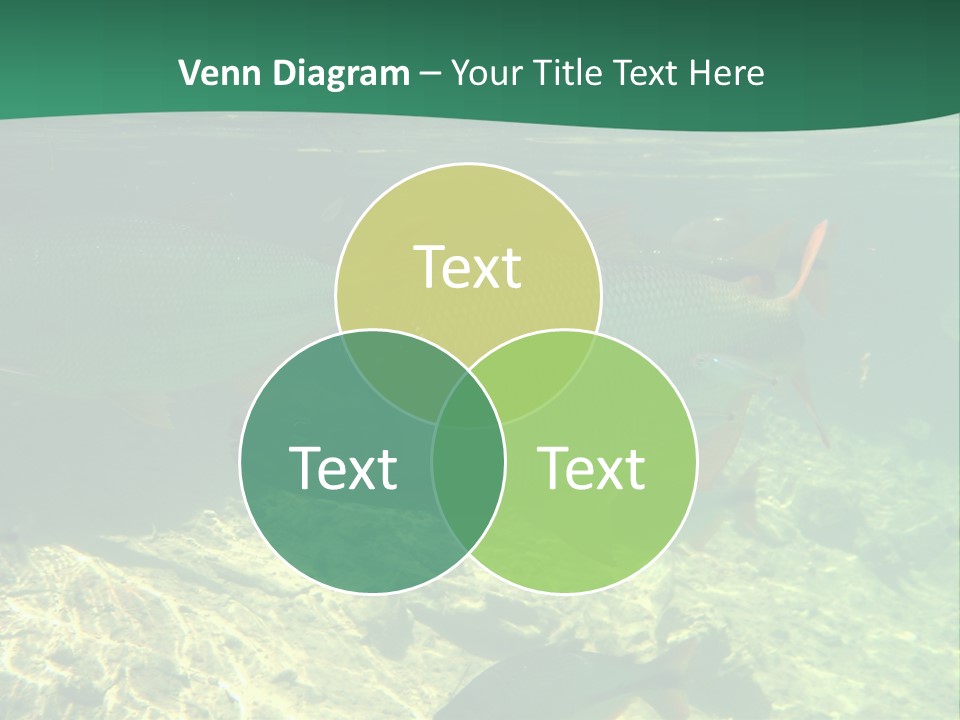 Outdoor Diving Wall Picture PowerPoint Template