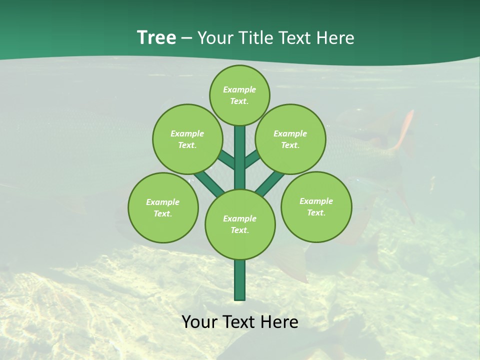 Outdoor Diving Wall Picture PowerPoint Template