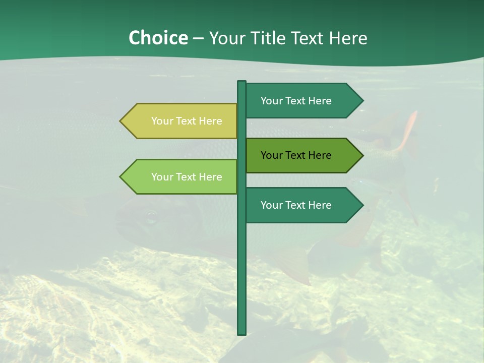 Outdoor Diving Wall Picture PowerPoint Template