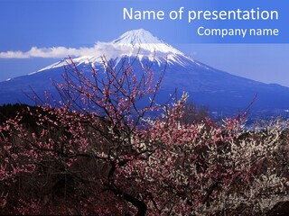 Beautiful Nature Branch PowerPoint Template