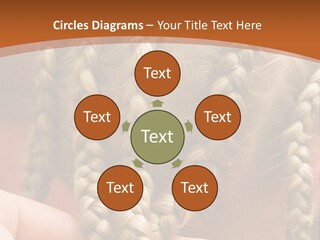 Tropical Sweet Ripe PowerPoint Template