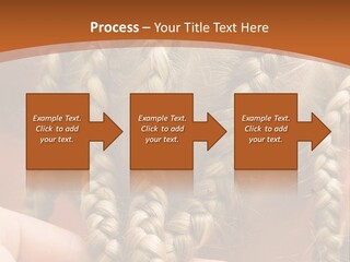 Tropical Sweet Ripe PowerPoint Template