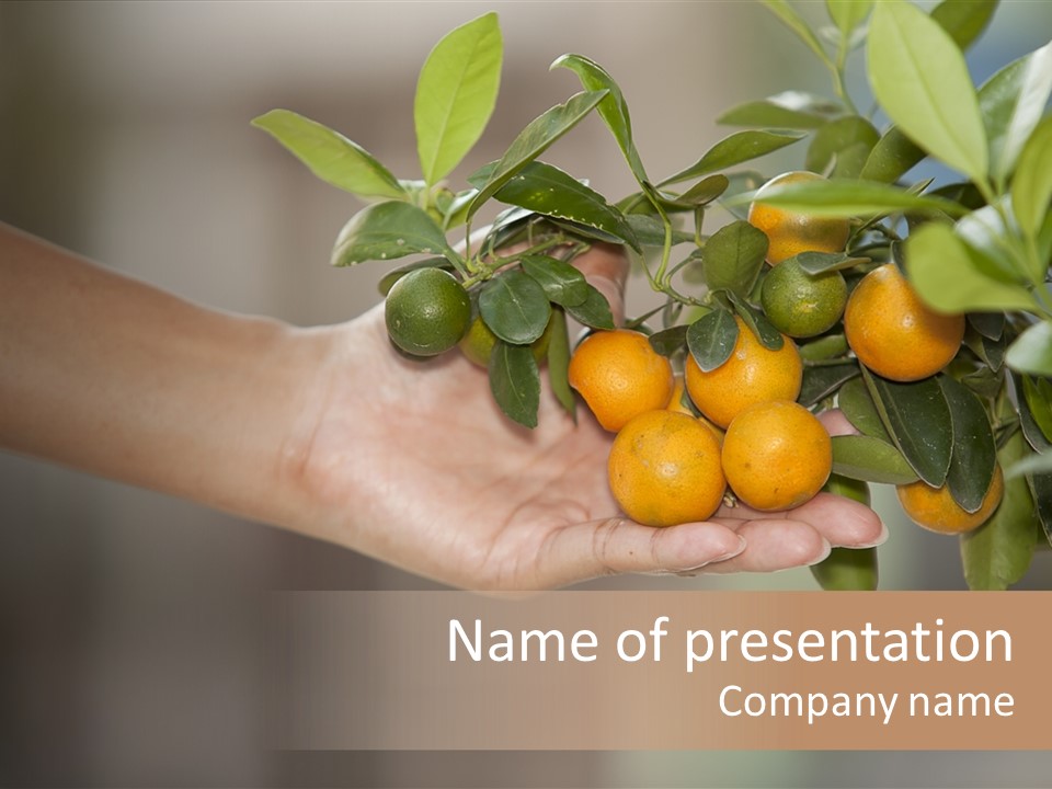 Tropical Sweet Ripe PowerPoint Template