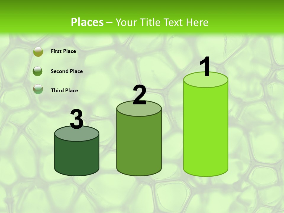 Shape Closeup Medical PowerPoint Template