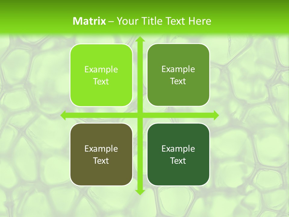 Shape Closeup Medical PowerPoint Template