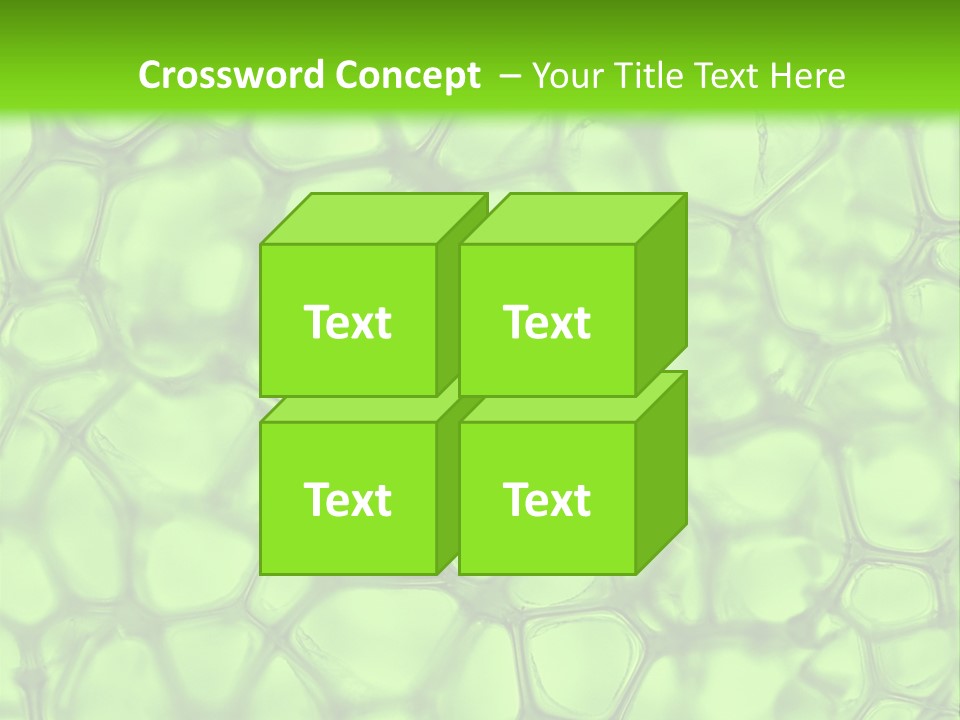 Shape Closeup Medical PowerPoint Template