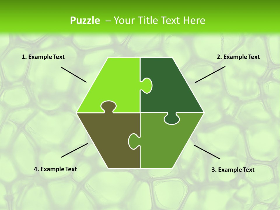 Shape Closeup Medical PowerPoint Template