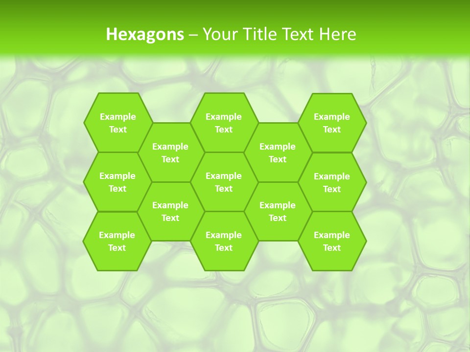 Shape Closeup Medical PowerPoint Template