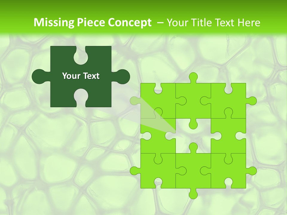 Shape Closeup Medical PowerPoint Template