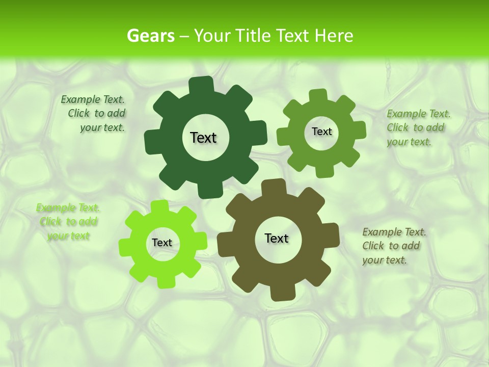 Shape Closeup Medical PowerPoint Template