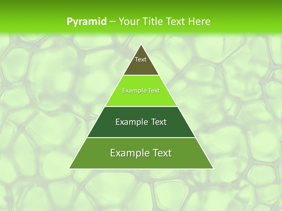 Shape Closeup Medical PowerPoint Template