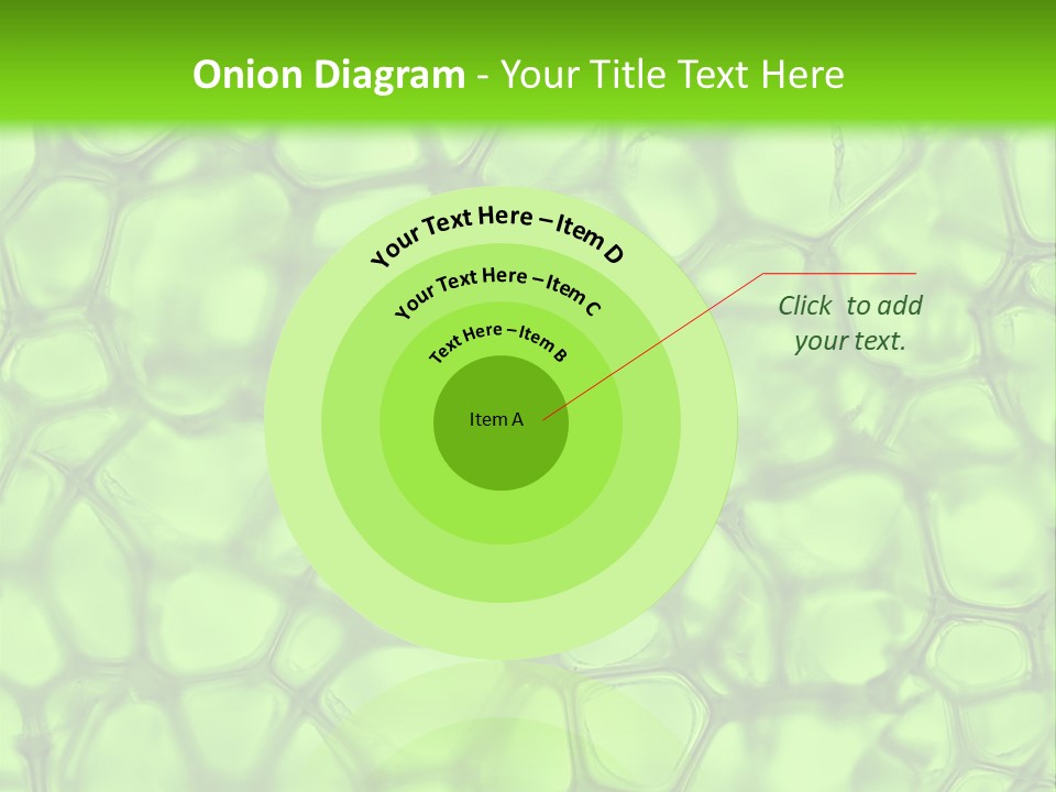 Shape Closeup Medical PowerPoint Template