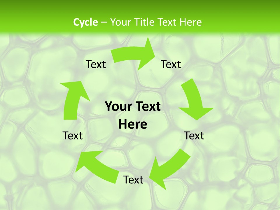 Shape Closeup Medical PowerPoint Template