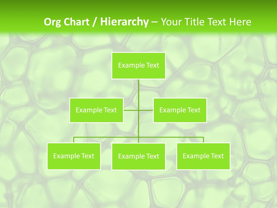 Shape Closeup Medical PowerPoint Template