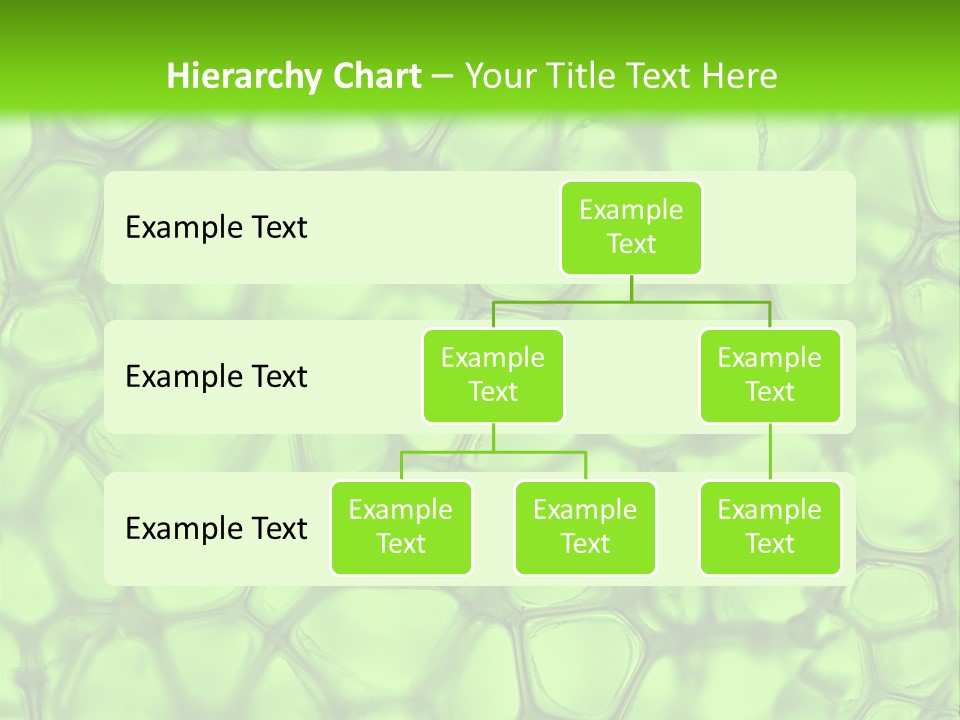 Shape Closeup Medical PowerPoint Template