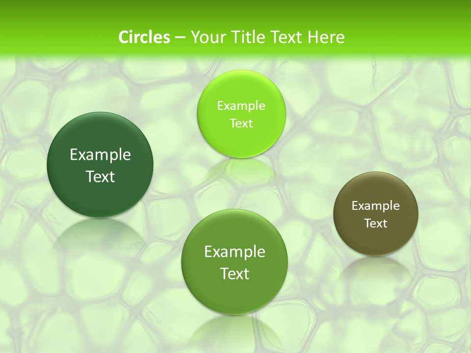 Shape Closeup Medical PowerPoint Template