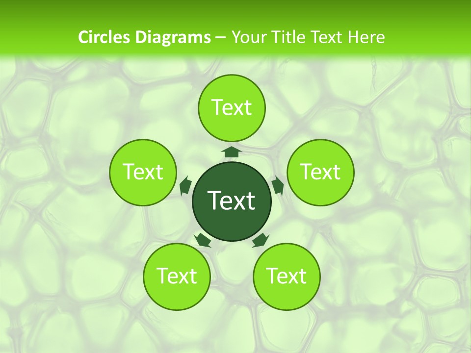 Shape Closeup Medical PowerPoint Template