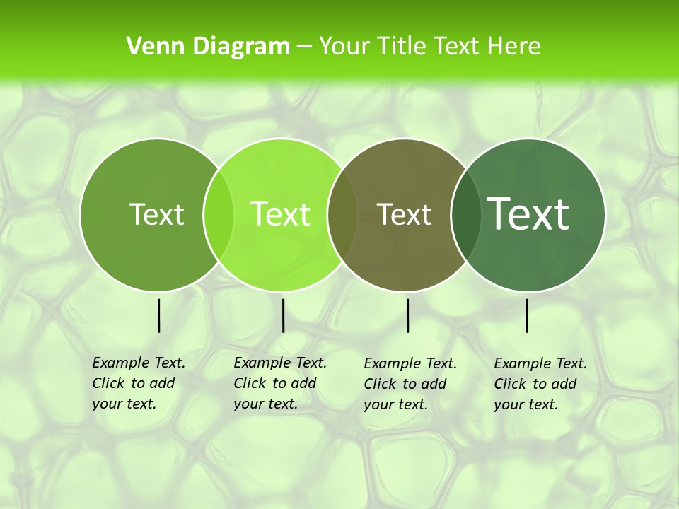 Shape Closeup Medical PowerPoint Template