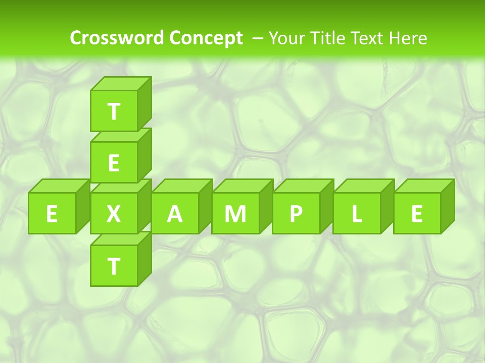 Shape Closeup Medical PowerPoint Template