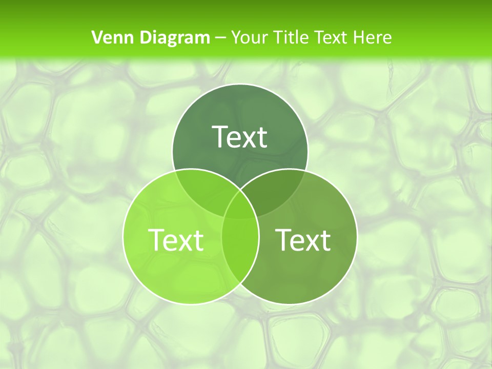 Shape Closeup Medical PowerPoint Template