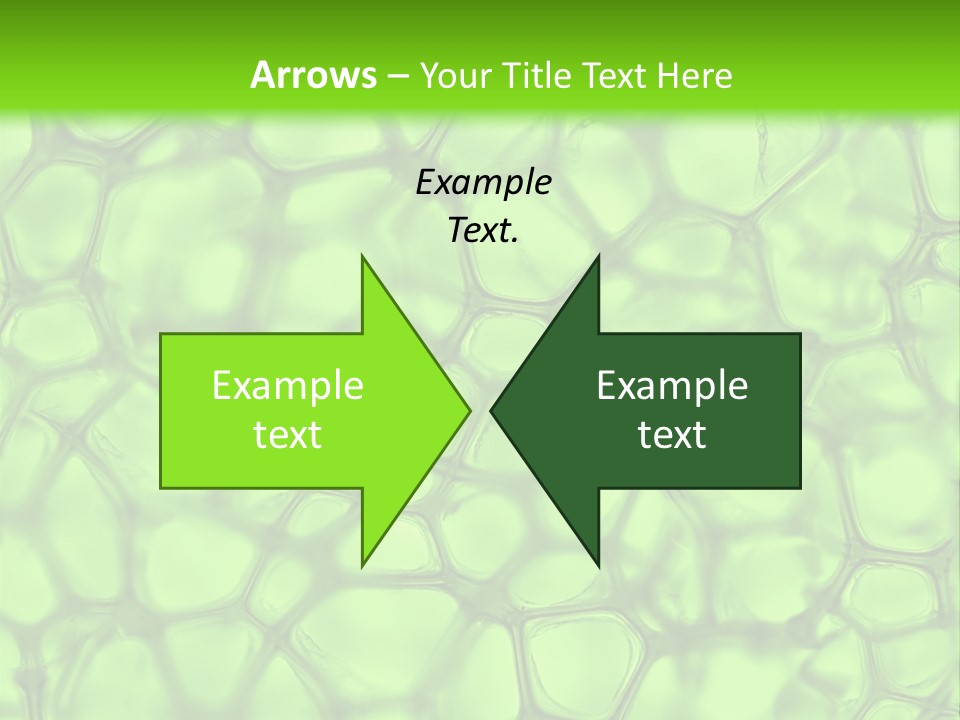 Shape Closeup Medical PowerPoint Template