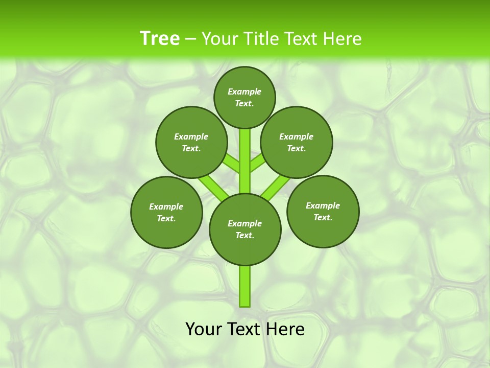 Shape Closeup Medical PowerPoint Template