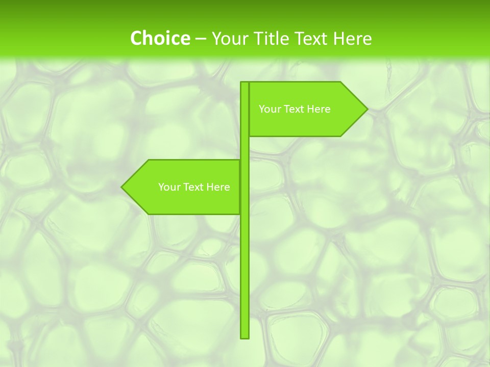 Shape Closeup Medical PowerPoint Template