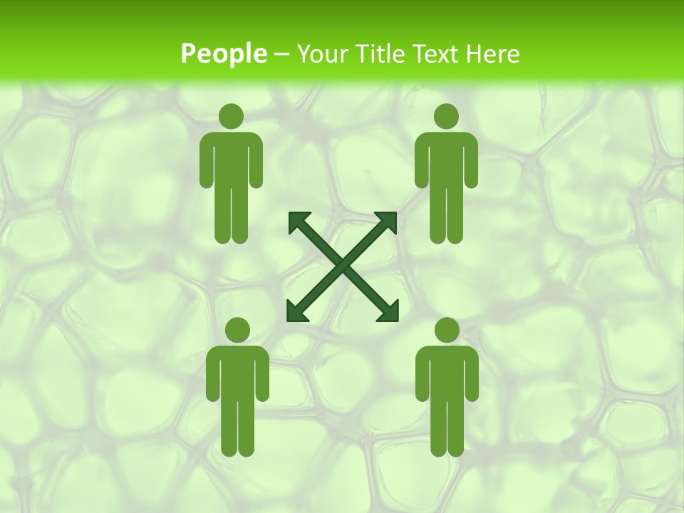 Shape Closeup Medical PowerPoint Template