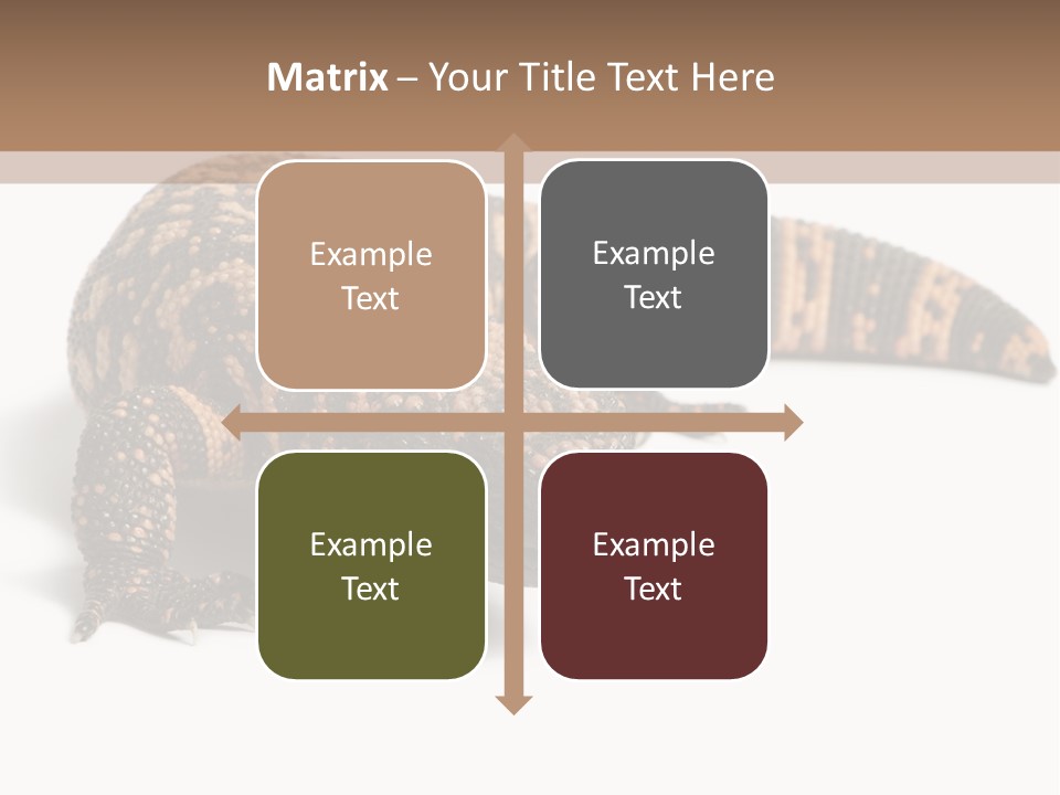 A Brown And Black Lizard On A White Background PowerPoint Template