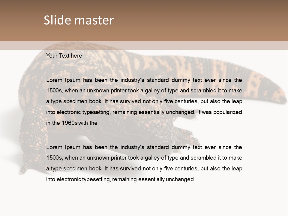A Brown And Black Lizard On A White Background PowerPoint Template