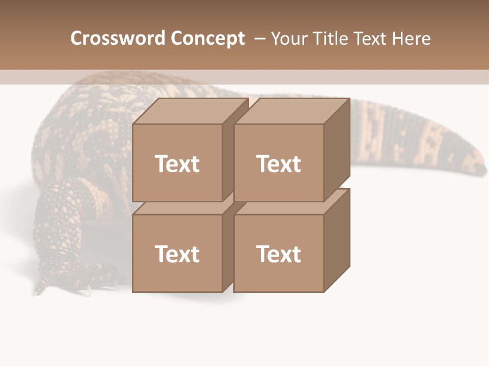 A Brown And Black Lizard On A White Background PowerPoint Template