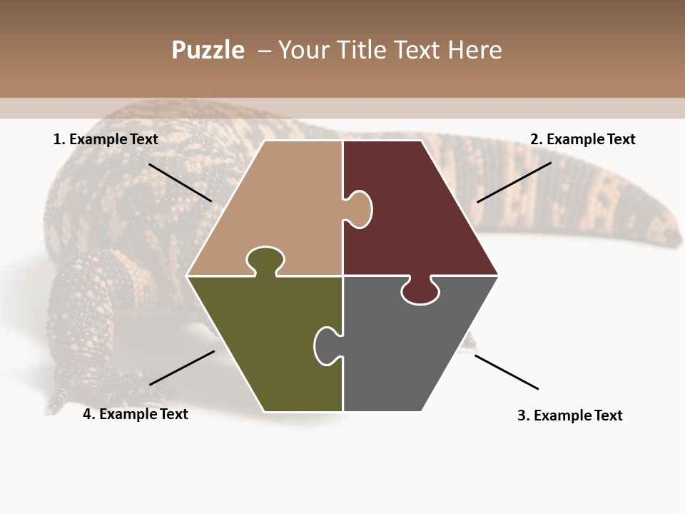 A Brown And Black Lizard On A White Background PowerPoint Template