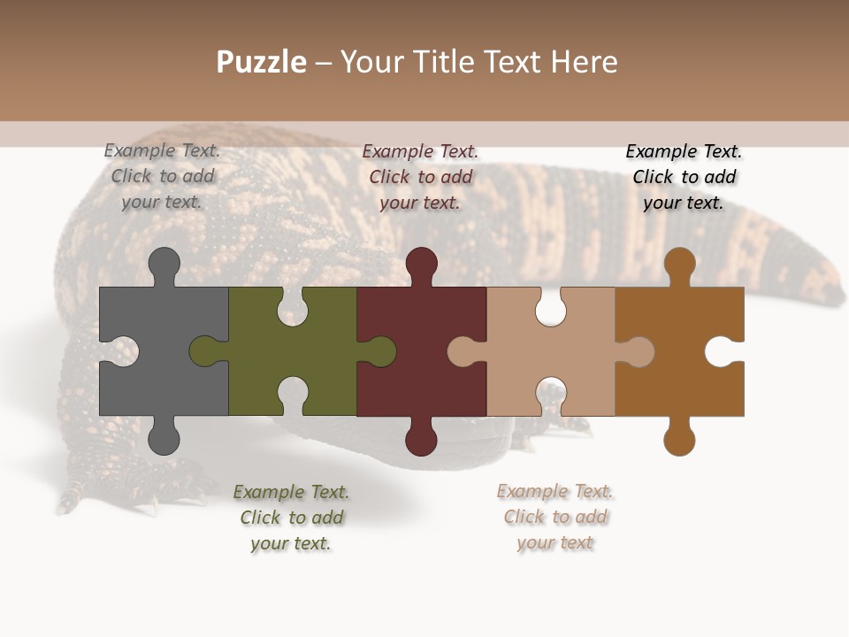 A Brown And Black Lizard On A White Background PowerPoint Template