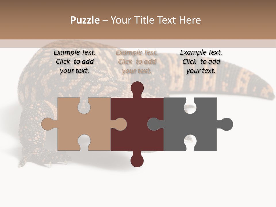 A Brown And Black Lizard On A White Background PowerPoint Template