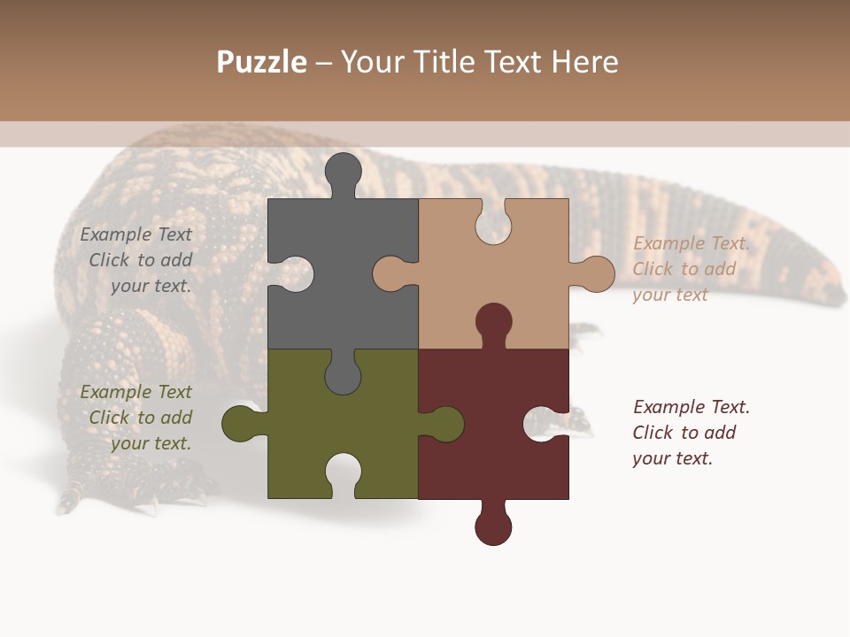 A Brown And Black Lizard On A White Background PowerPoint Template