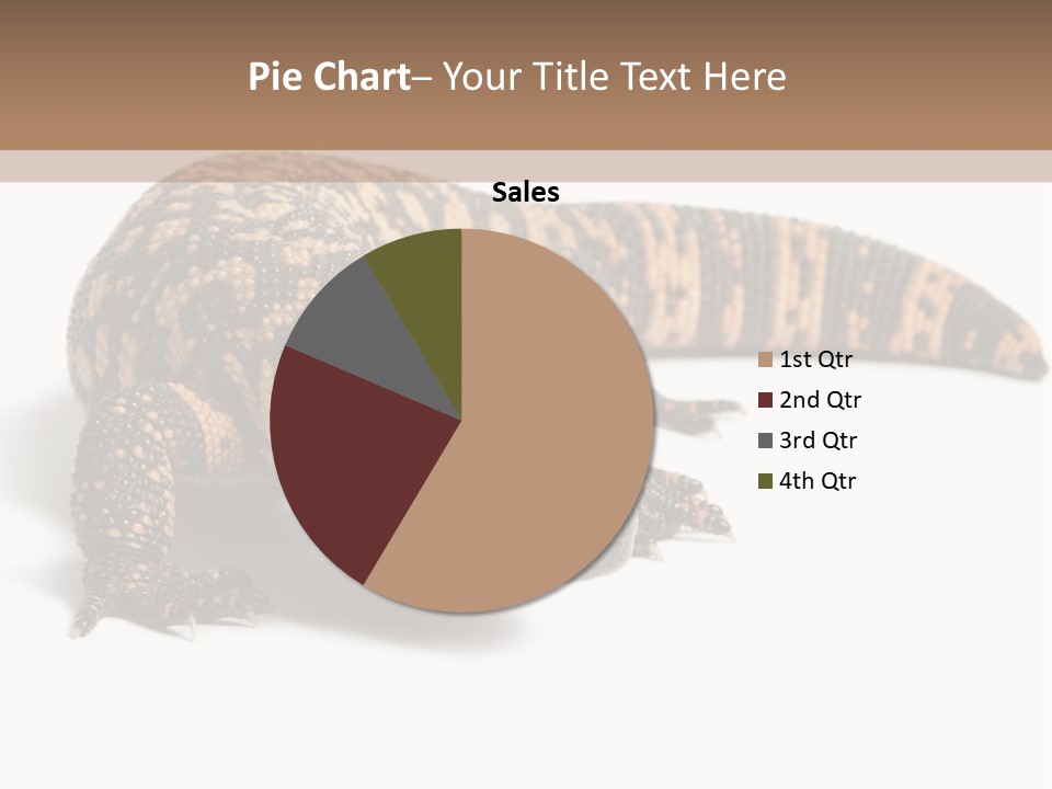 A Brown And Black Lizard On A White Background PowerPoint Template