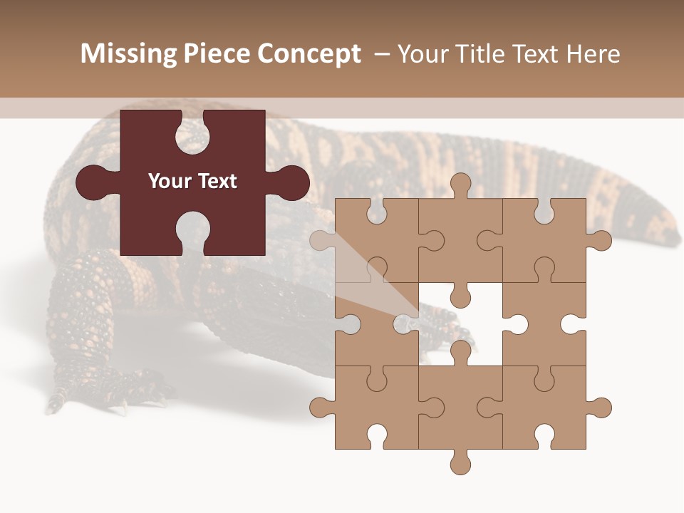 A Brown And Black Lizard On A White Background PowerPoint Template