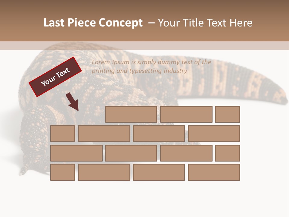 A Brown And Black Lizard On A White Background PowerPoint Template