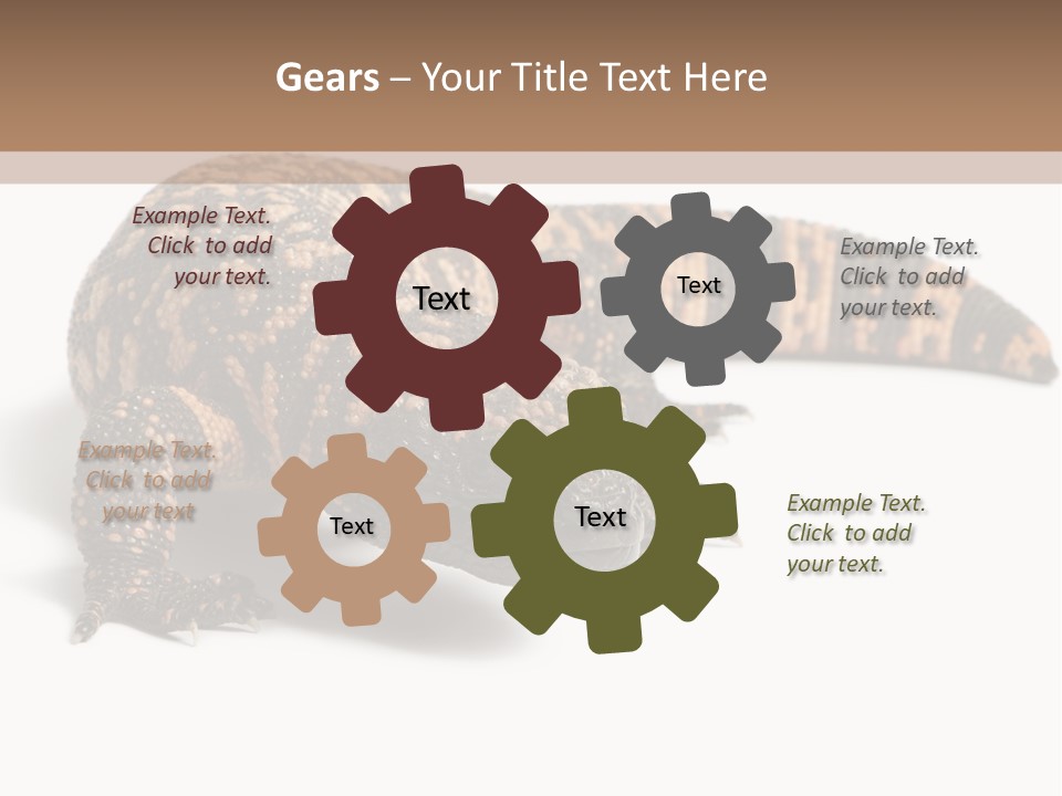 A Brown And Black Lizard On A White Background PowerPoint Template