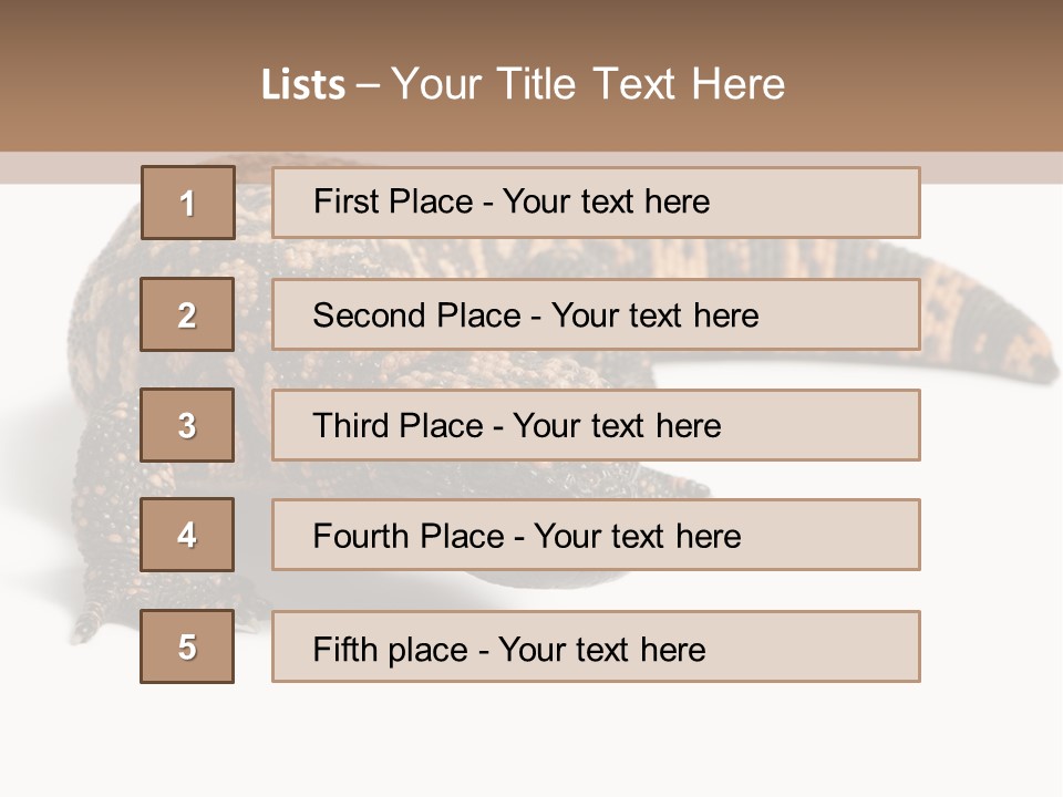 A Brown And Black Lizard On A White Background PowerPoint Template