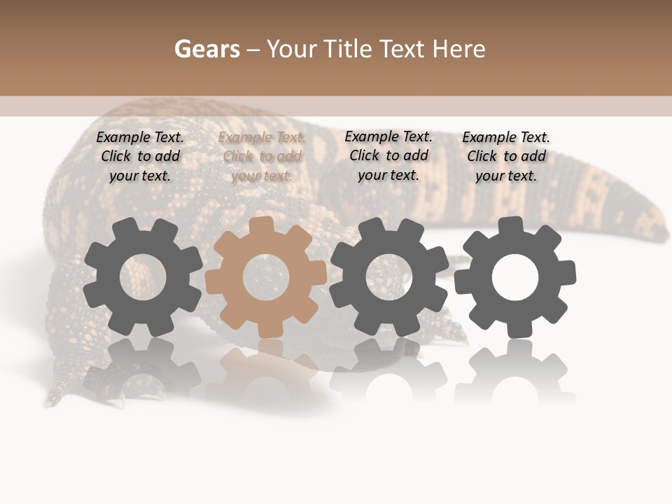 A Brown And Black Lizard On A White Background PowerPoint Template