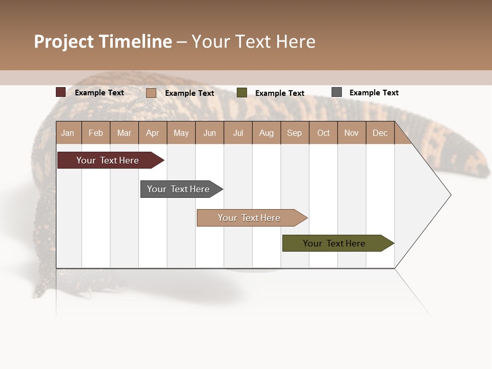 A Brown And Black Lizard On A White Background PowerPoint Template