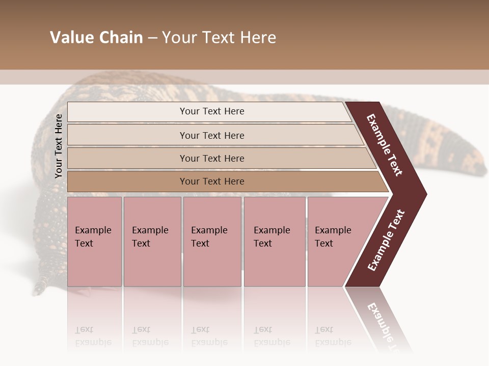 A Brown And Black Lizard On A White Background PowerPoint Template