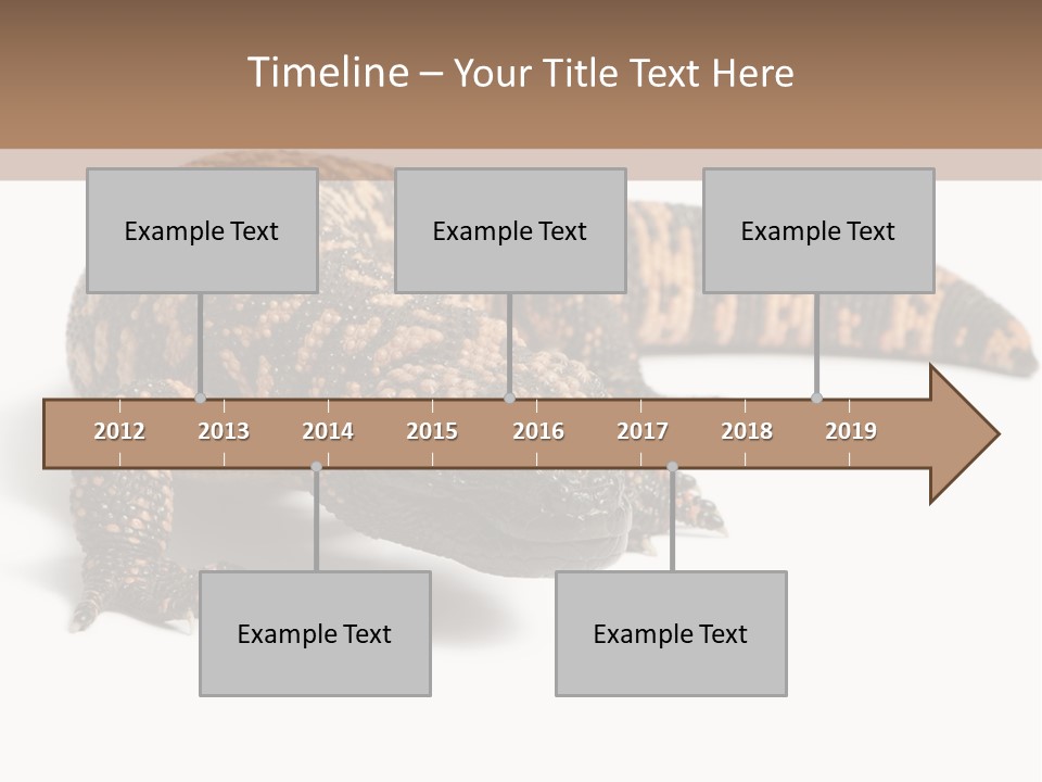 A Brown And Black Lizard On A White Background PowerPoint Template